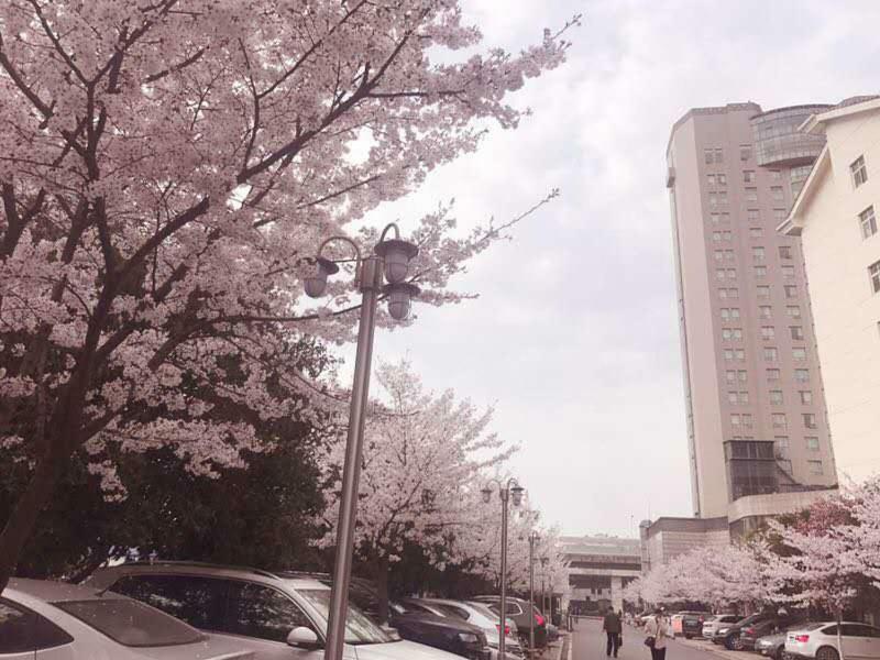 Xiongchu International Hotel Wuhan Exterior photo